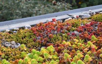 the cost of Witton Gilbert green roof installation